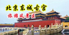 毛茸茸的大山雀无法不爱操逼操逼中国北京-东城古宫旅游风景区